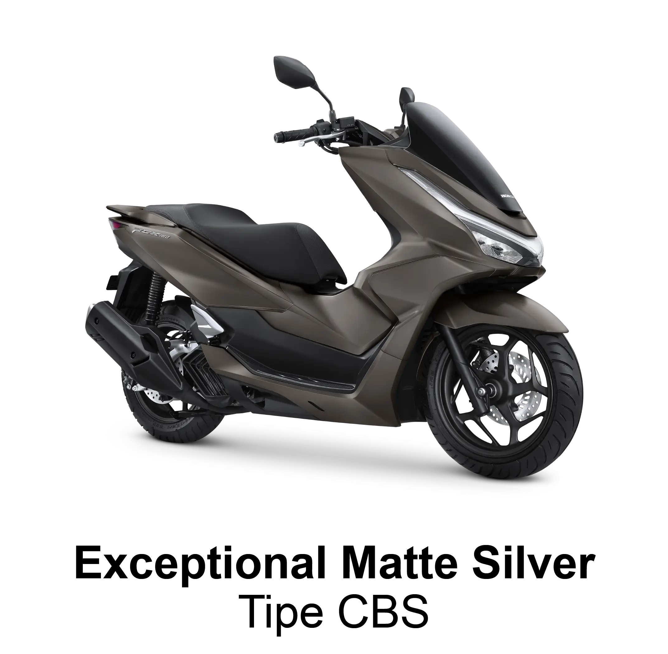 EXCEPTIONAL MATTE SILVER